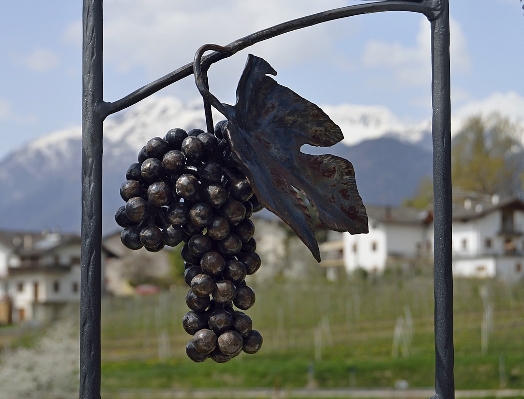 Grapes of iron