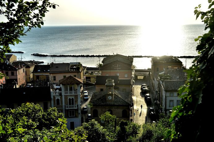 A spasso con il cane