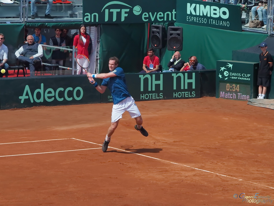 Coppa Davis 2014 - Andy Murray