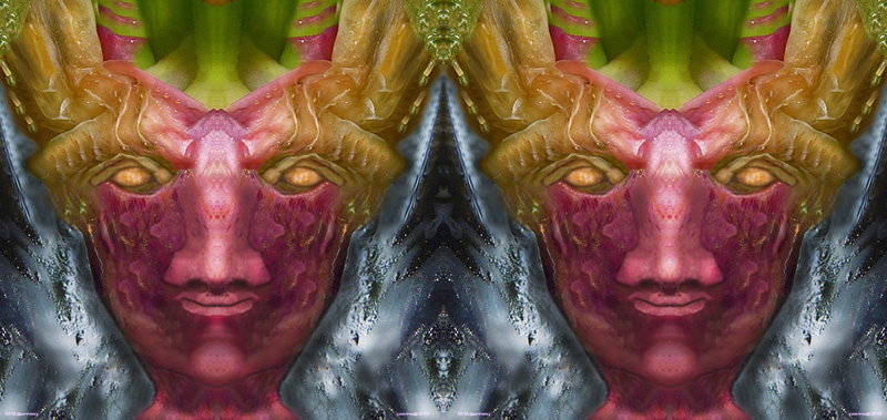 Cipolle creazione originale�2014