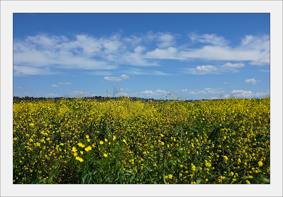 Maldive del Salento 10-04-2014