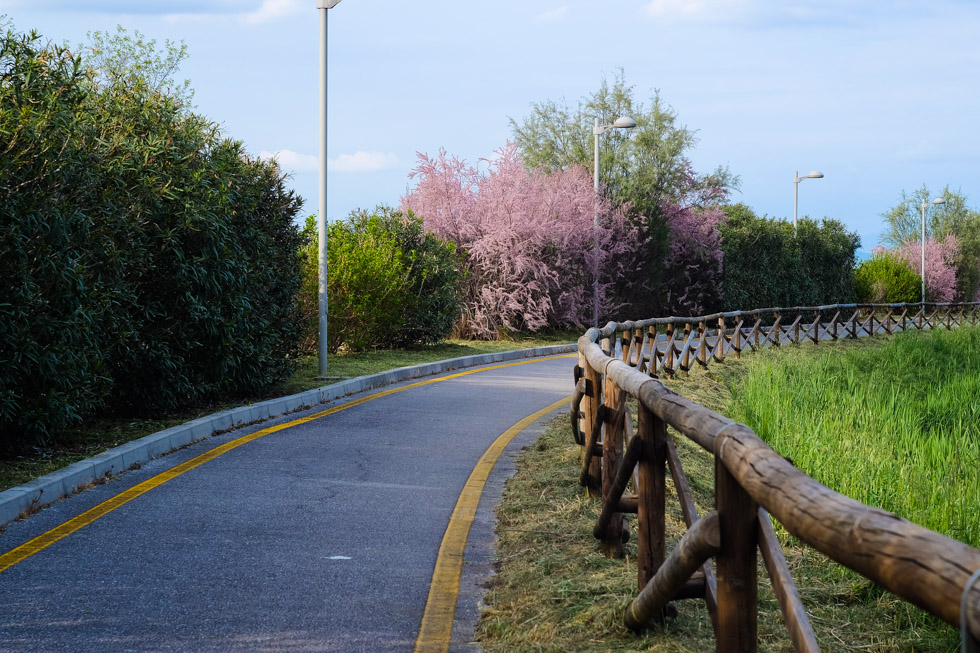 Pista ciclabile