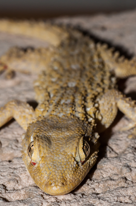 mi fai passare si o no?!