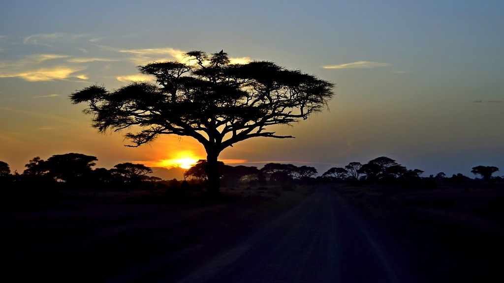 La sentinella della sera