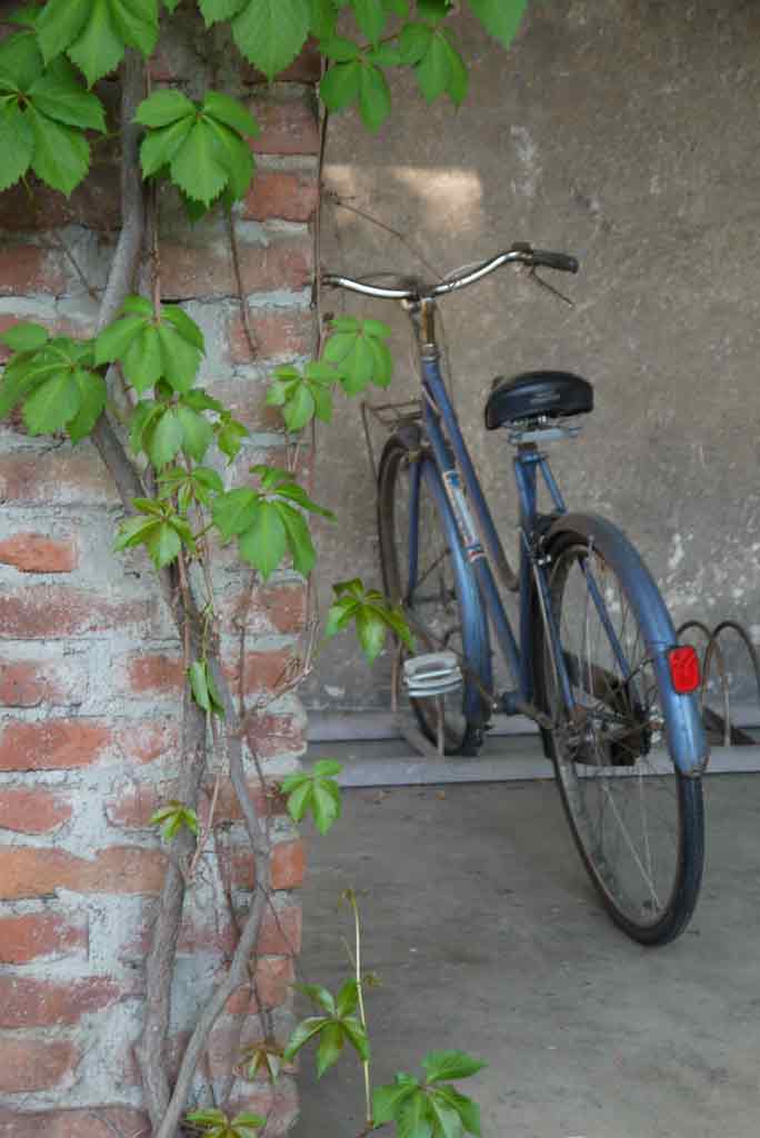 bicicletta
