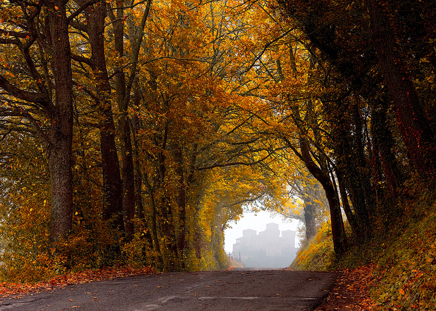 Il tunnel per il castello di Torrechiara
