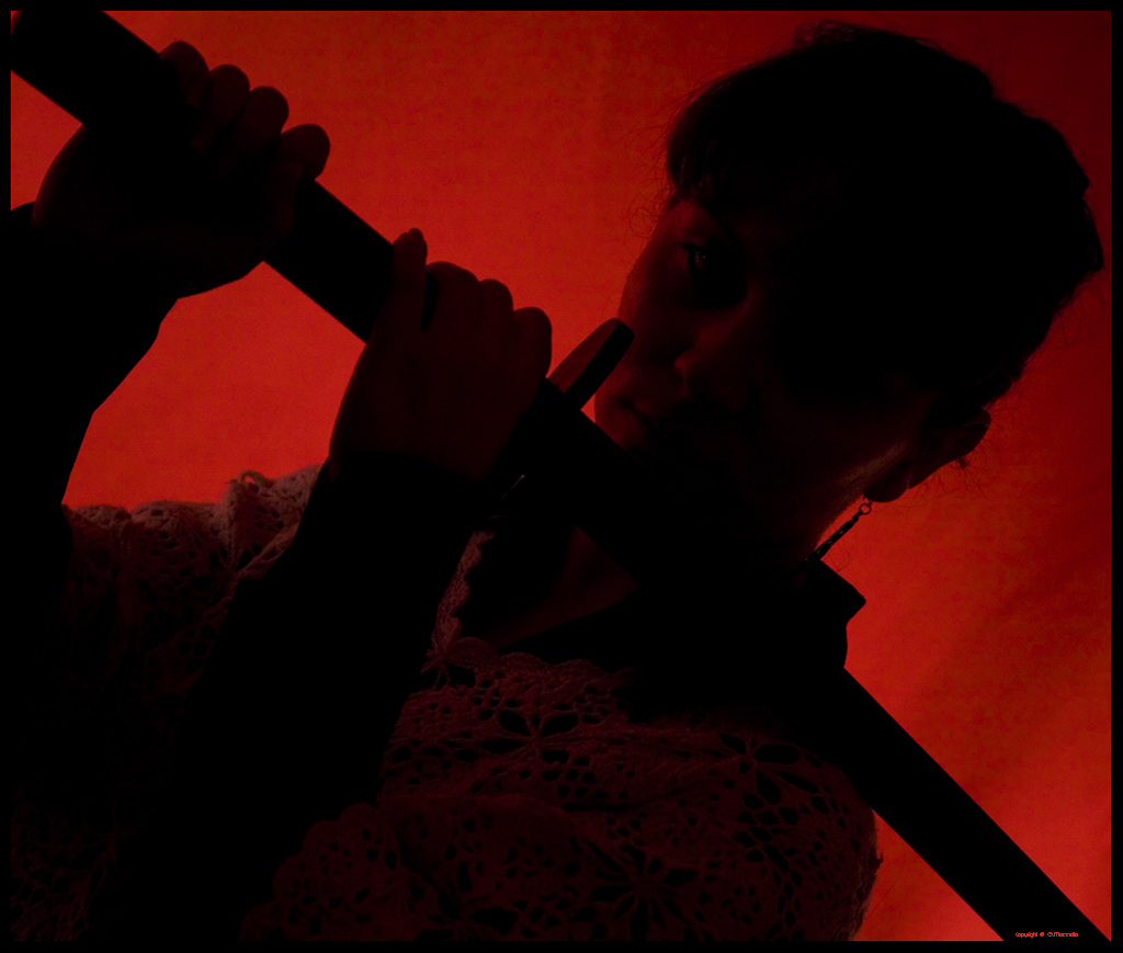 Esperimenti di Silouette "Giapponese"