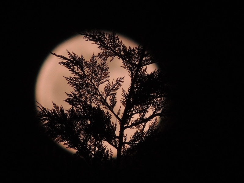 La luna sullo sfondo