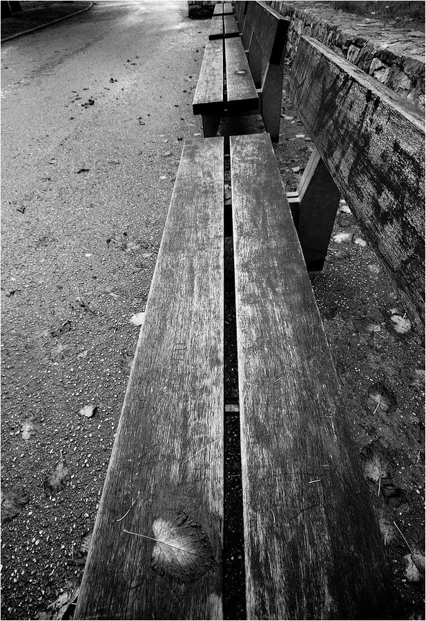 Panchine...d'autunno