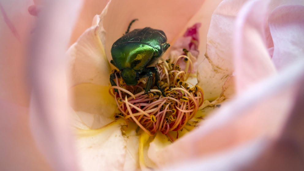 Cercando il bandolo della matassa