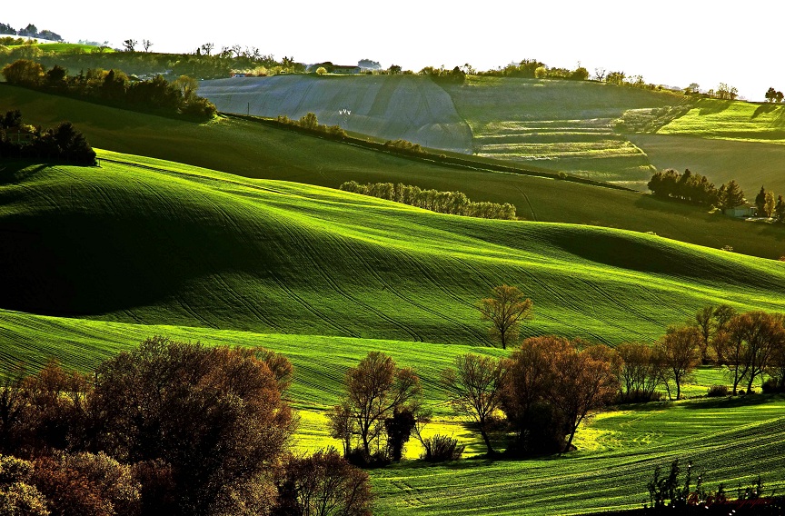 Pennellate di Primavera