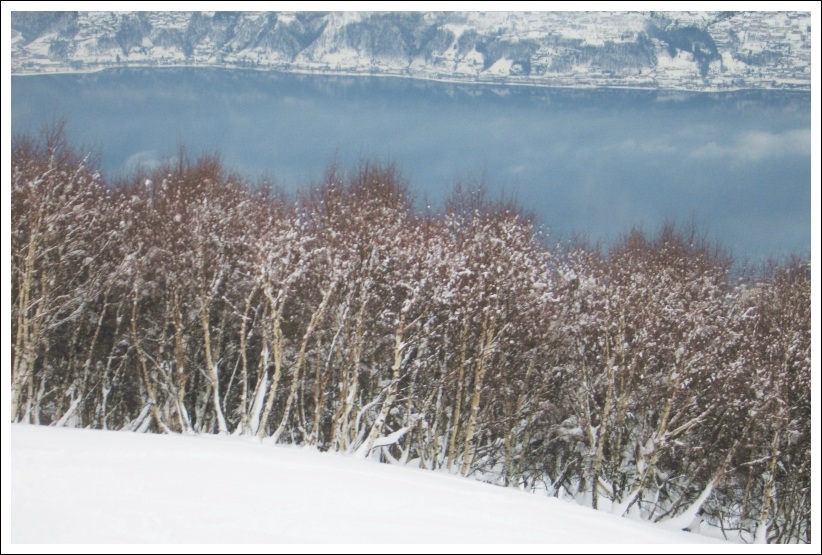 Affollamento in riva al lago...
