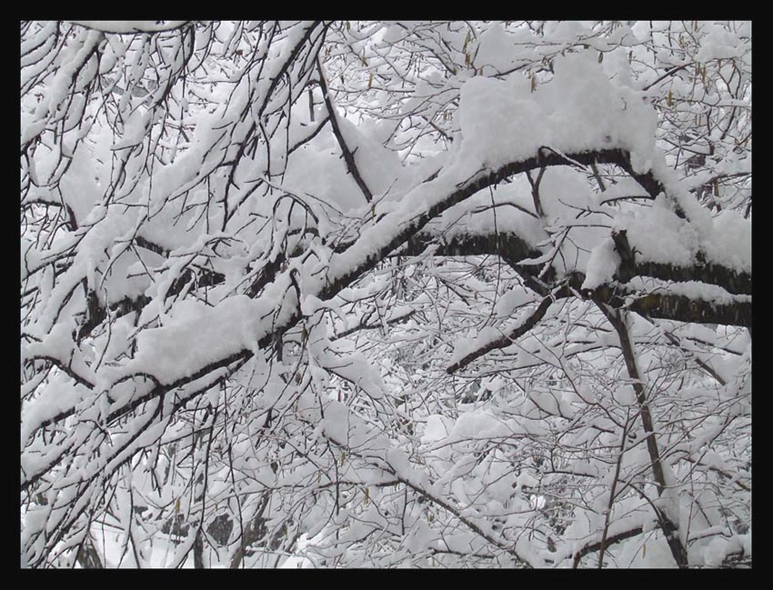nevicata del 27 gennaio