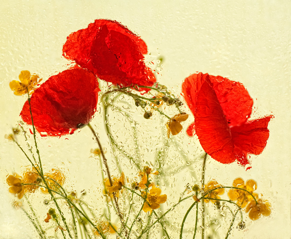 Non pu� piovere per sempre....