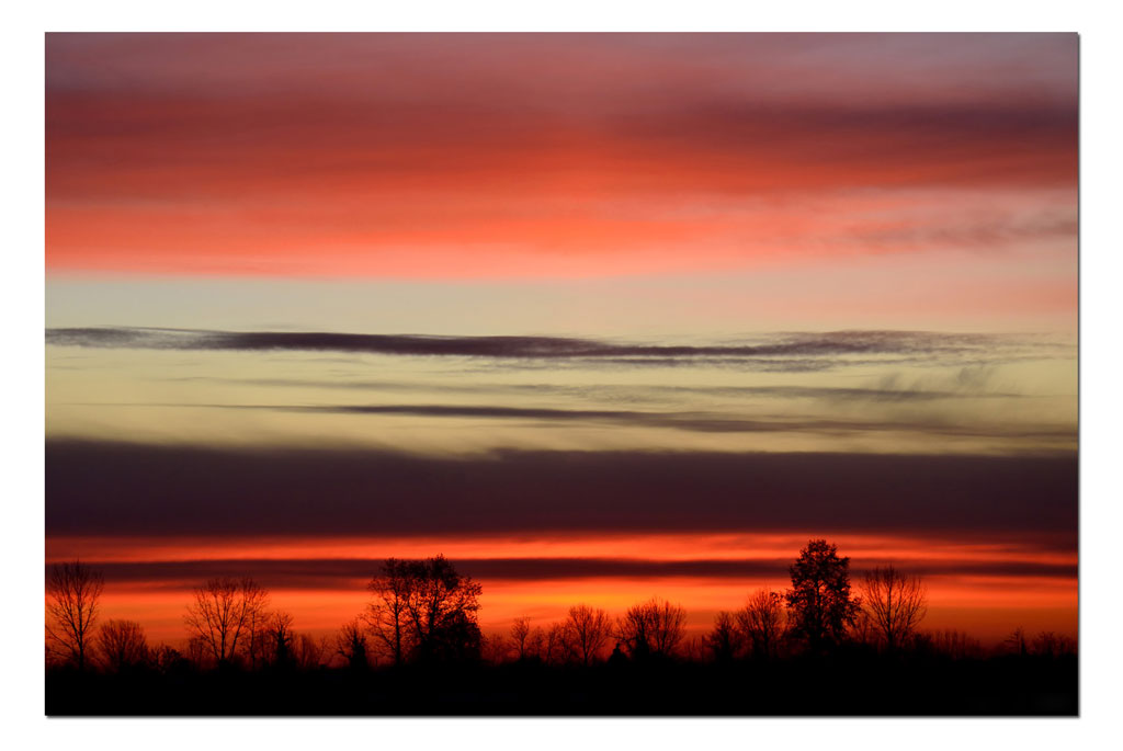 pennellate di colore