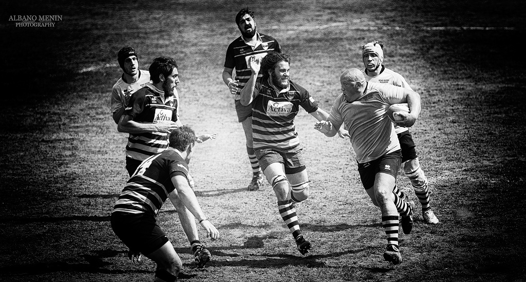 Sguardi minacciosi !!!