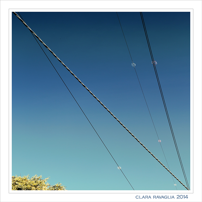 Riccioli.... nel quadrato.