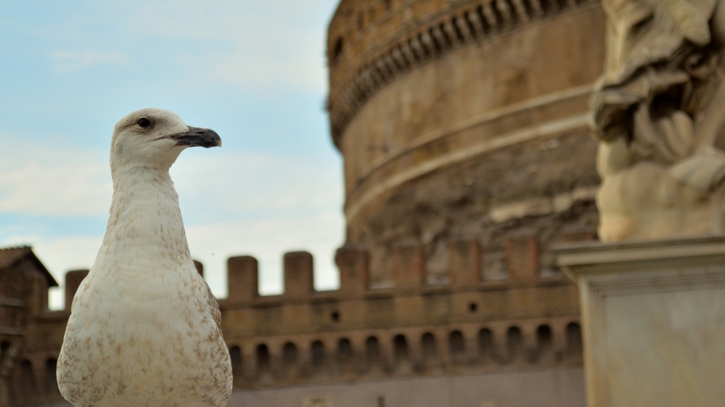 Piano americano a Roma