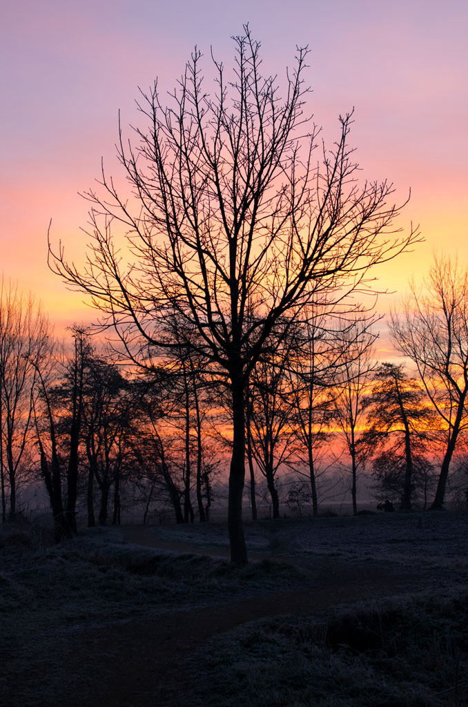 Solitario sul sentieo