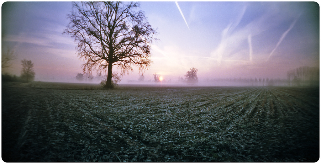 ... tra nebbia e brina ;/) pinhole