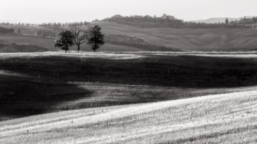 Solitary - Val d'Orcia