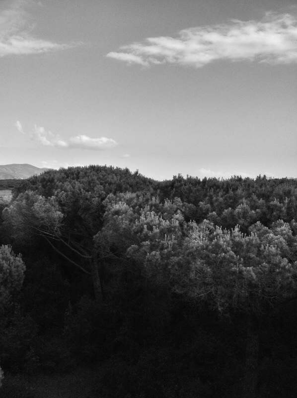 Maremma
