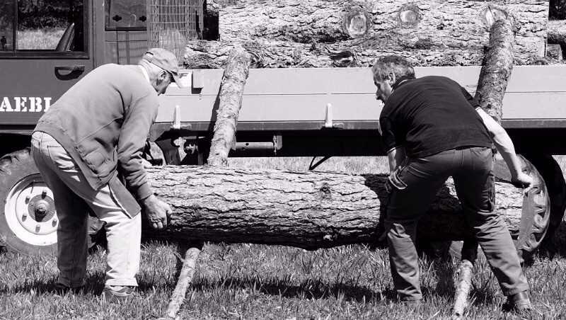 Padre Figlio e la Vita