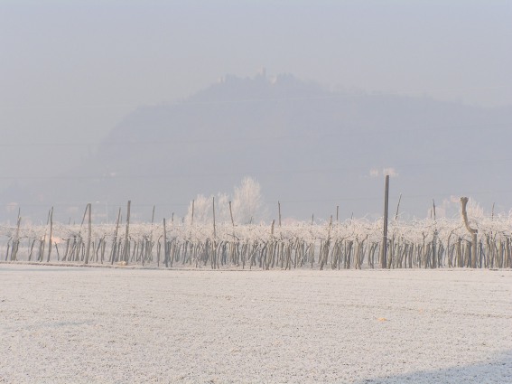 campagna veneta in inverno