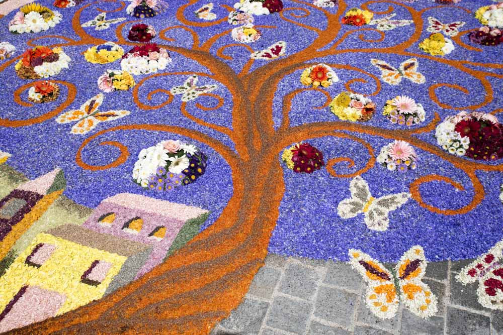 Infiorata 19