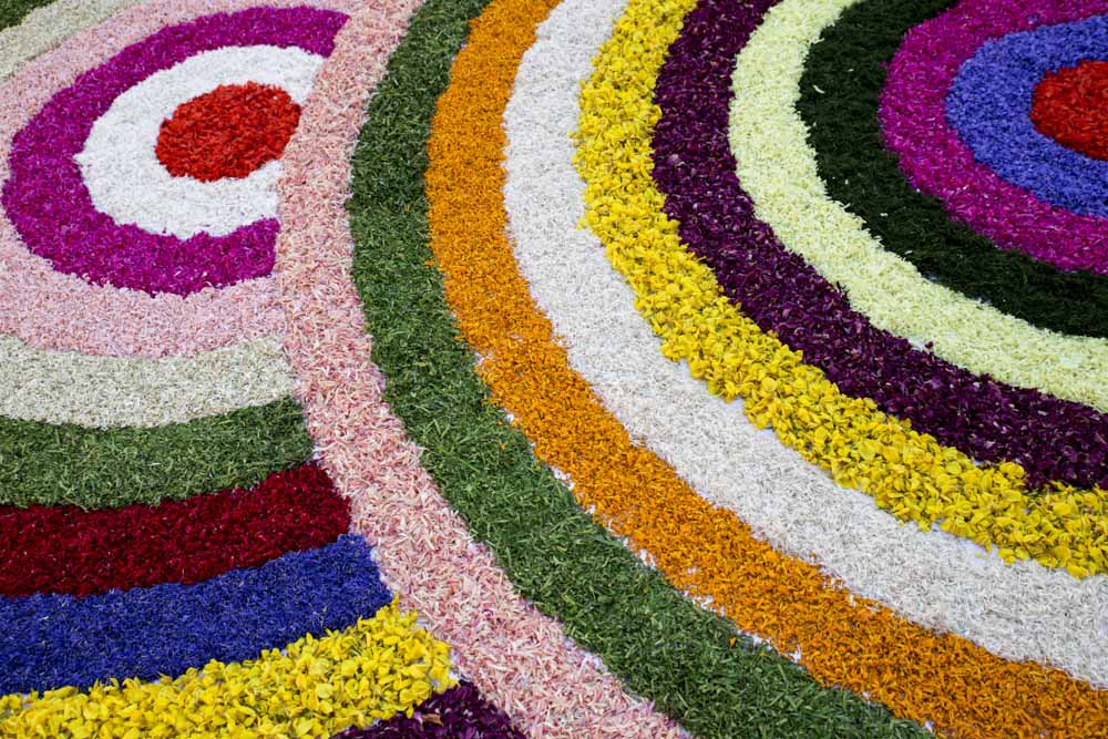 Infiorata 16