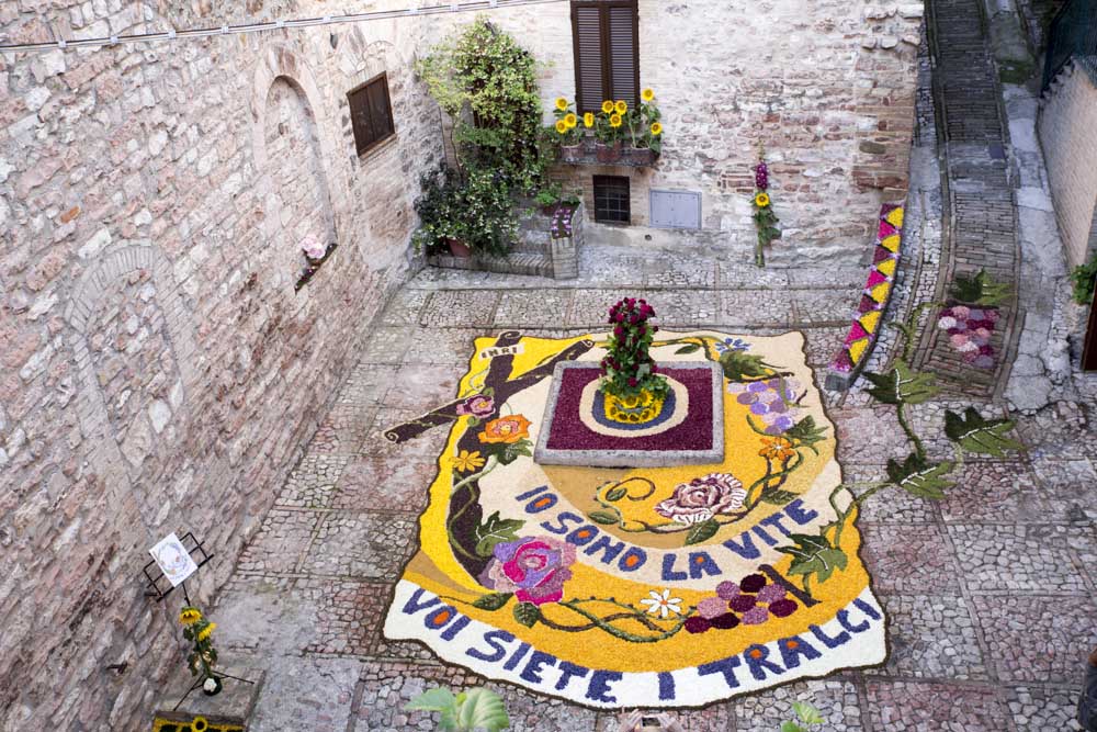 Infiorata 15
