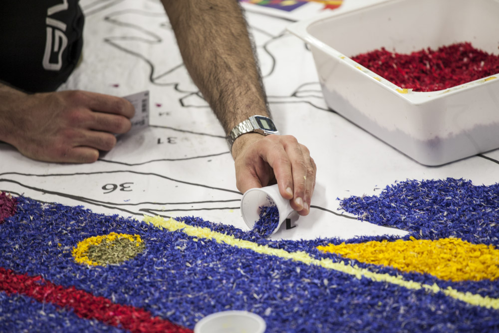 Infiorata 11