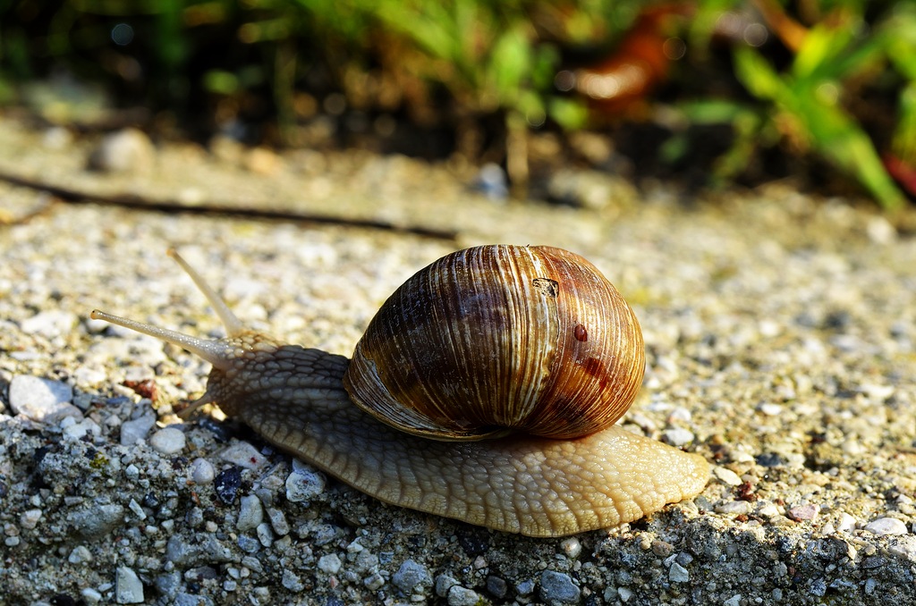 Piano, piano verso il sole
