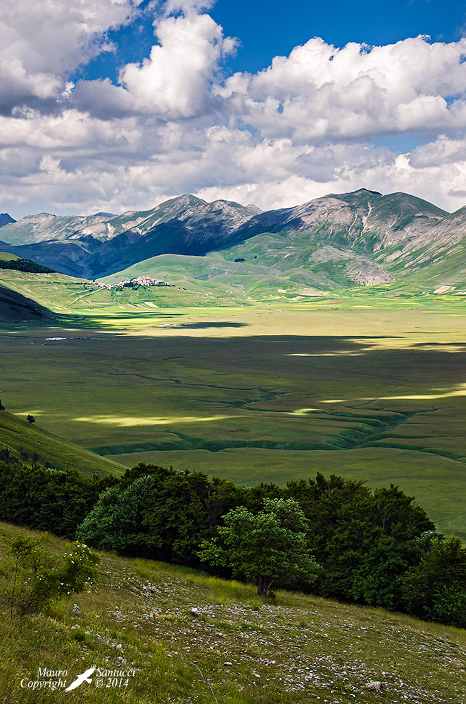 La piana di Castelluccio