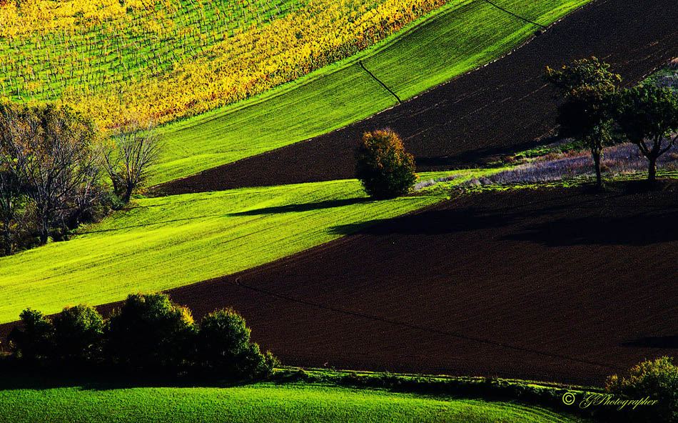 Spigolature in controluce