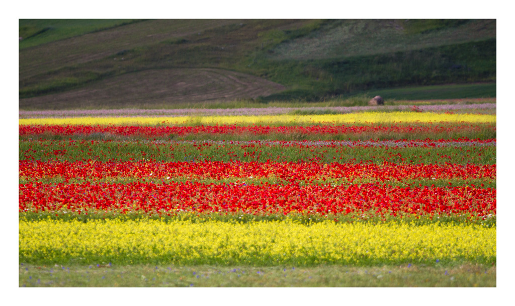 Dalla natura e dal lavoro dell'uomo - 2