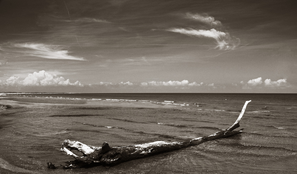 Spiaggia di Porto Caleri
