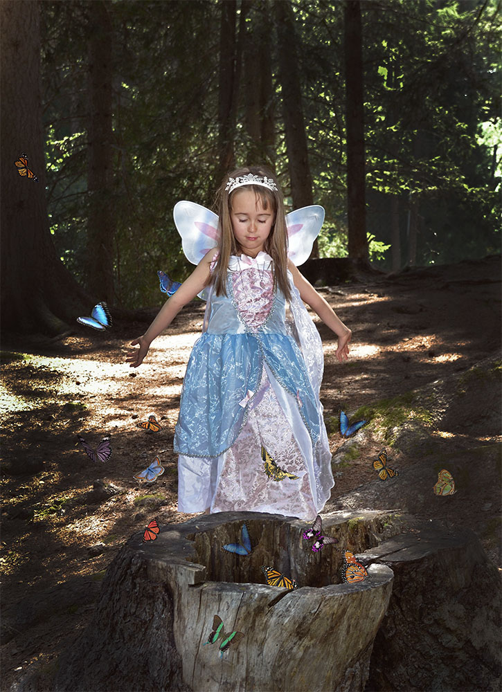 LA FATINA DELLE FARFALLE 2