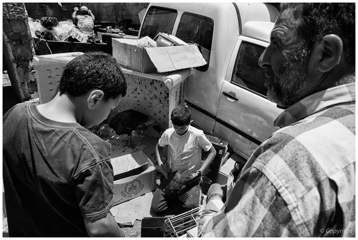 West Bank - 2014 (3)