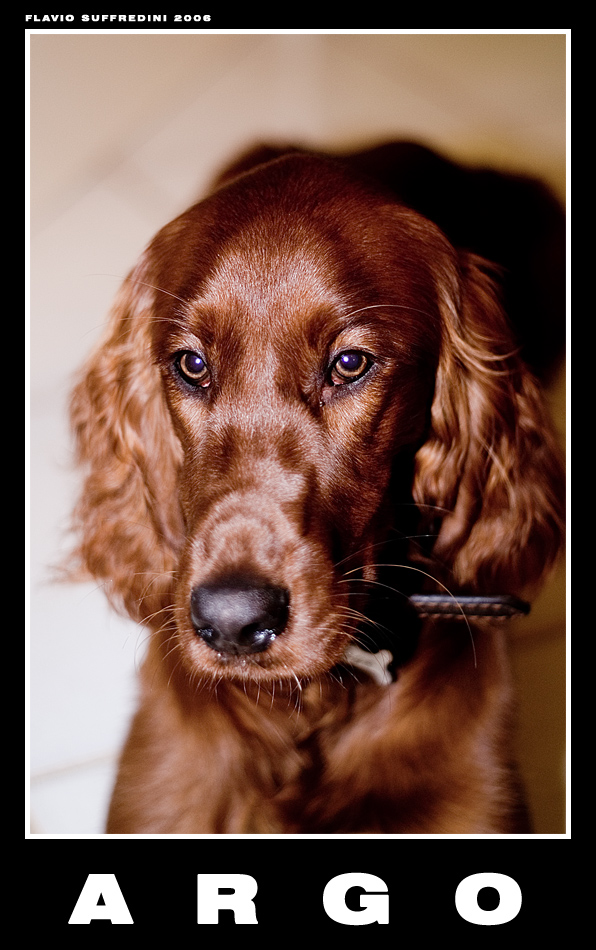 Argo