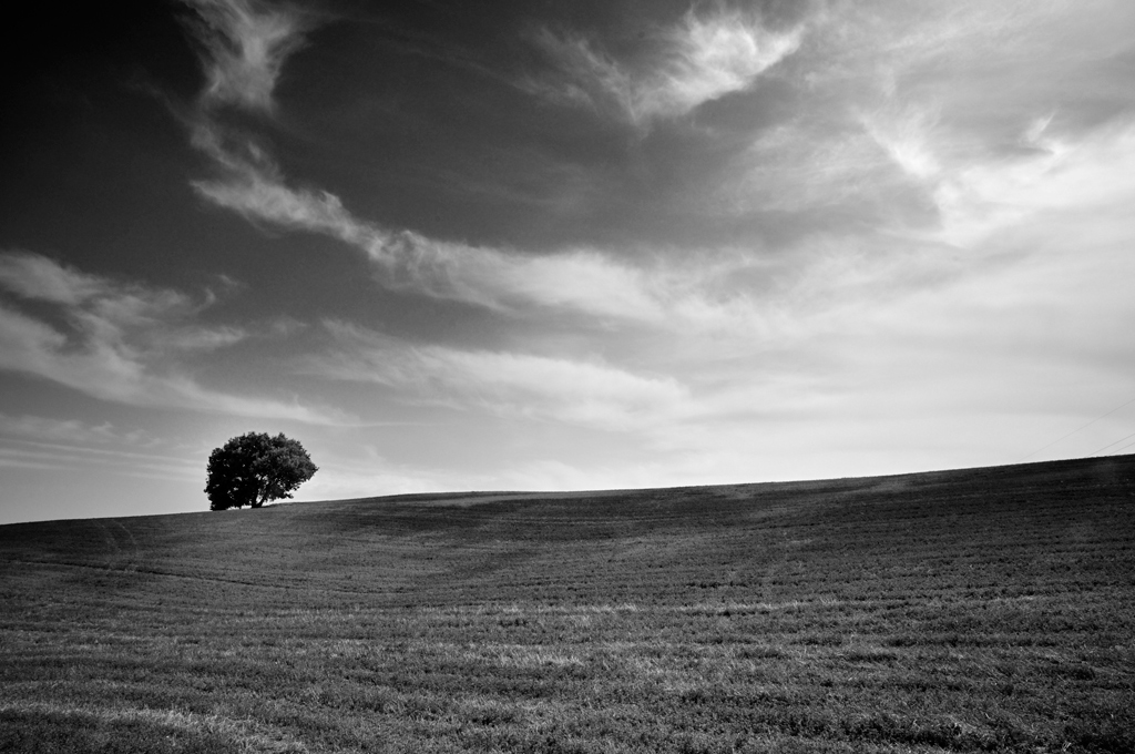 paesaggio b/n
