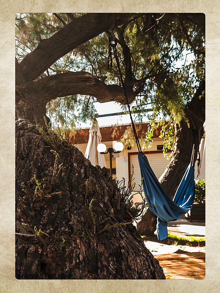 La calda luce dell'estate