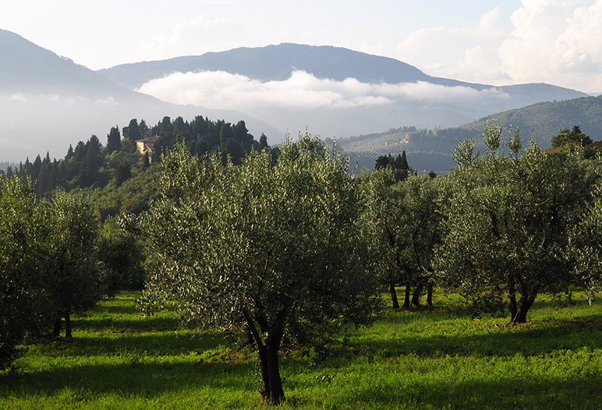 Dopo il temporale, in Toscana
