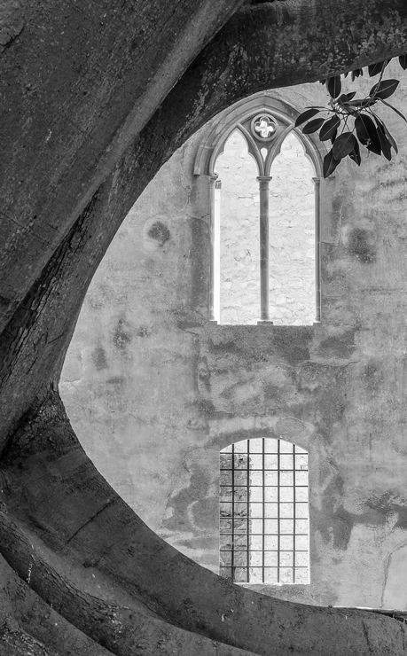 Natura architettonica