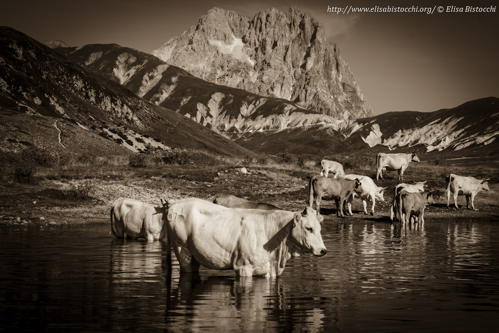 Laghetto di Pietranzoni - Gran Sasso
