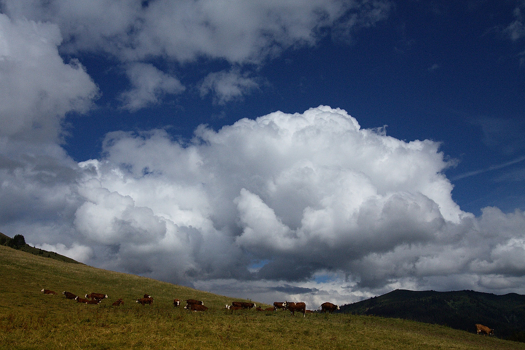 Col de Aravis