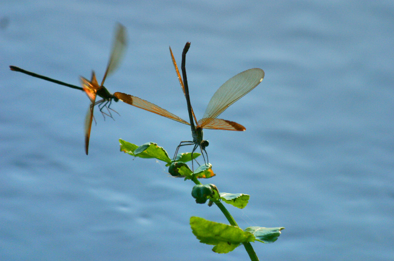 che mi fai posto!!!!!!!