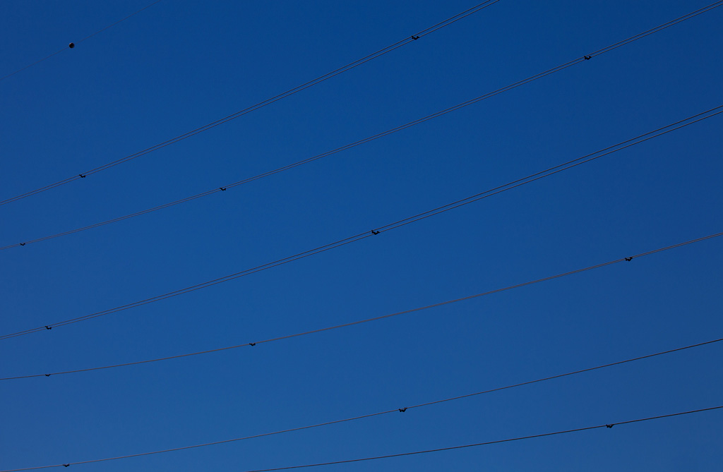 ..come rondini nel cielo..