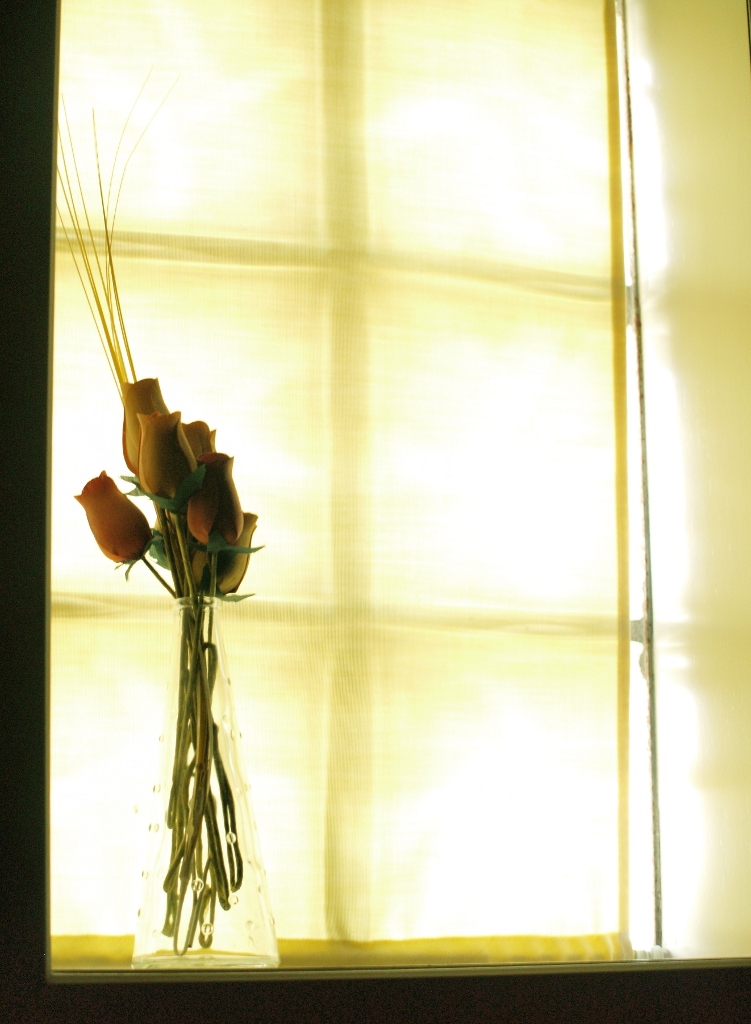 Le rose davanti alla finestra