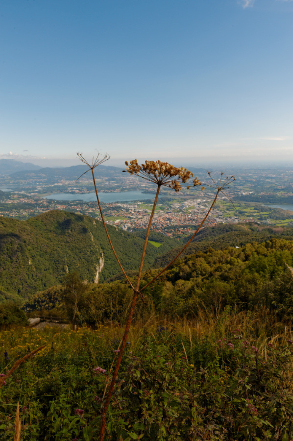 Ehi...fotografa me... fotografa me!!